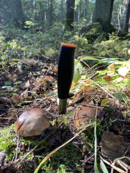 ABA73D85 FB2C 4D4C AE9B A9DD090EF662