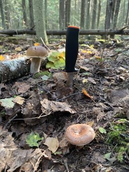 1C4953C4 9C9C 4CD5 9BFE 2601C26477DC