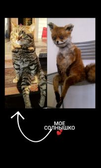 662366E2 0BDB 48DA 93D3 DDD1413926F0