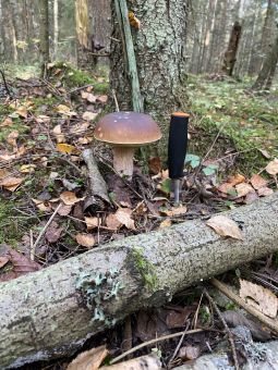 3ACAEE52 B6E8 42CD 8EDF C7828249BD1B