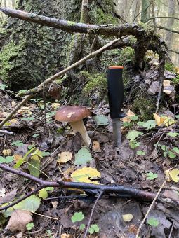 CAB64346 B277 4F55 BDA6 F8D4395797BB