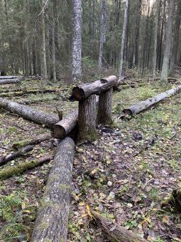 FCF26721 2BF4 4F88 BC69 73537A6EA31E