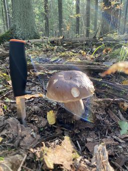 F18E1A6F 20DE 4D0A A340 C1FC197FAC68