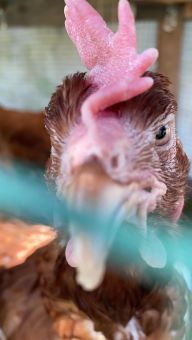 942AFD1B 5DFB 48CE 8760 358DC4ED7665