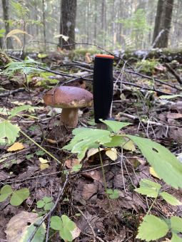 5F94008D 509E 4851 B155 109CCBF1F203