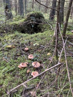 FBF92B29 1A33 4D04 9EB9 0AE15F8F9CDC