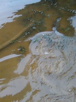 20190808cq3tNIL0sRxvdVPx w01pw large