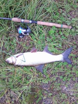 20190808sPZYy01QlyhIhRyQ k4rwL large