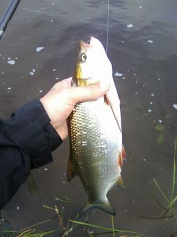 20190815IZVUDo0pqbYaNXrn aG0Ss large