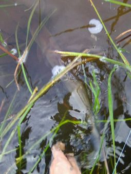 20190815Ylnep6Pm2EsS1fvN S8b9V large