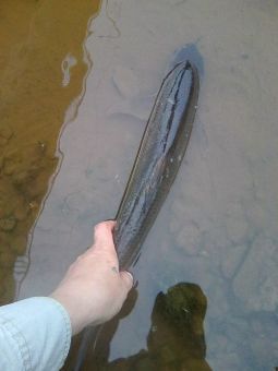 20190808i9ZODTdVuYqs6eLd lUzqy large