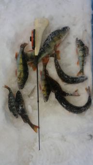 Туса 2019 зима