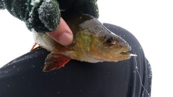 Туса 2019 зима