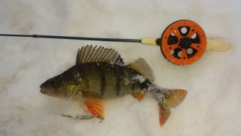 Туса 2019 зима