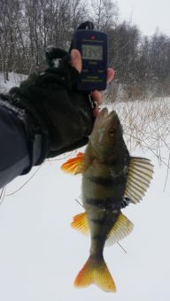 Туса 2019 зима