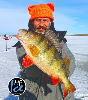 Тюмень 2019 весна