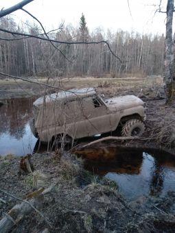 Морье 2019 апрель