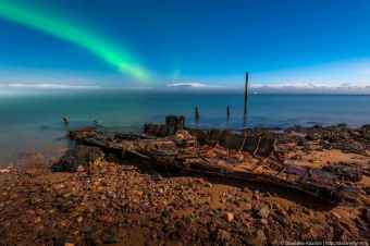 Треска апрель 2019