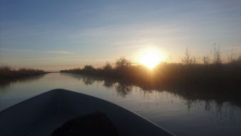 Ладога, Креницы, май 2019