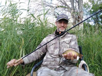 20190714 Караси