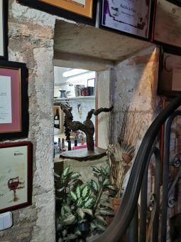 Винодельня Vins Miquel Gelabert