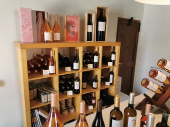 Винодельня Bodega Ribas