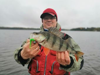 Туса 2019 осень. Барабуля и окунь на 53 грамма