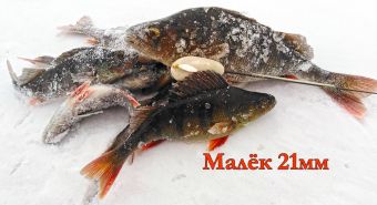 IMG 20200126 115909 resized 20200128 104916366