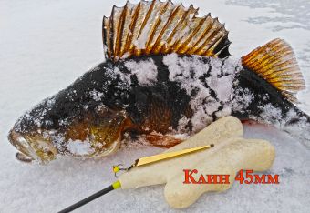 IMG 20200124 145650 resized 20200128 104919574