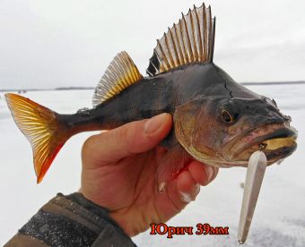 IMG 20200124 113614 resized 20200128 104944992