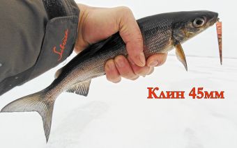 IMG 20200124 142657 resized 20200128 104949443