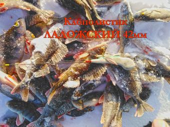 IMG 20200127 120851 resized 20200128 104836444