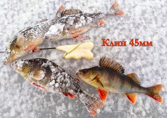 IMG 20200124 130246 resized 20200128 104946342