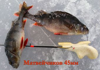 IMG 20200124 102635 resized 20200128 104947945