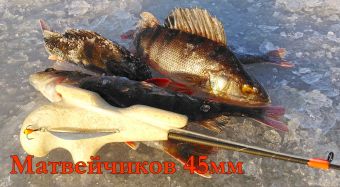 IMG 20200127 115628 resized 20200128 104913024