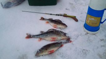 IMG 20200215 145655 6