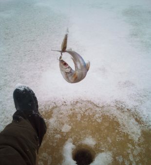 IMG 20200215 122142 7