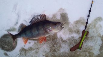 IMG 20200215 143858 1