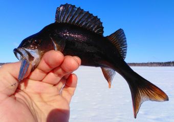 IMG 20200304 125224 01 resized 20200310 114421304