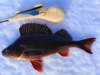 IMG 20200304 115747 01 resized 20200310 114423949