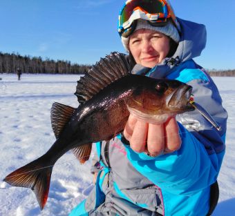 IMG 20200304 153429 02 resized 20200310 114415034