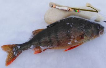 IMG 20200303 134809 01 resized 20200310 114425119