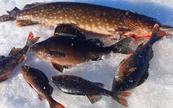 IMG 20200304 140408 resized 20200308 081049940