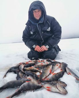 IMG 20200302 161834 resized 20200308 081052039