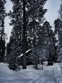 IMG 20200305 WA0037 01