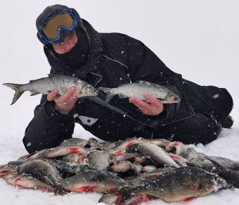 IMG 20200305 151433 1 resized 20200308 080722909