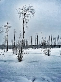 IMG 20200305 WA0036 01