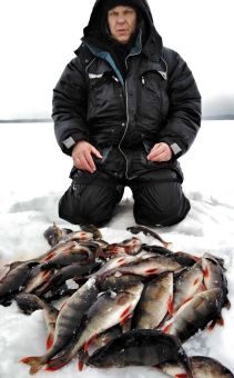 IMG 20200302 161728 01 resized 20200310 114426081