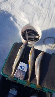 photo 2020 04 02 22 30 41