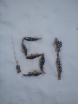 photo 2020 04 03 19 57 01